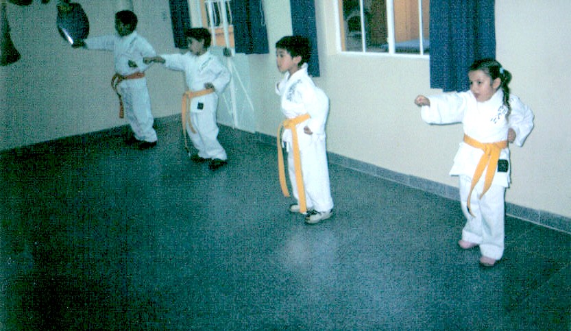 CENTRO EDUCATIVO SUMMIT