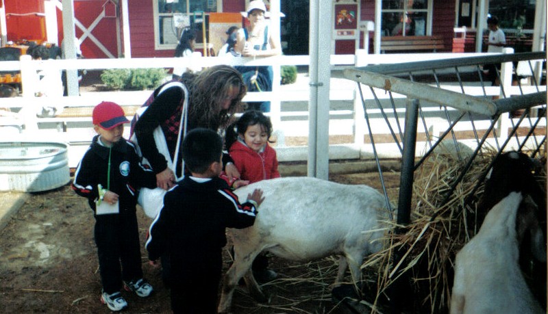 CENTRO EDUCATIVO SUMMIT